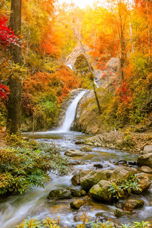 Nature-2