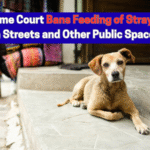Supreme Court bans public feeding of stray dogs in India