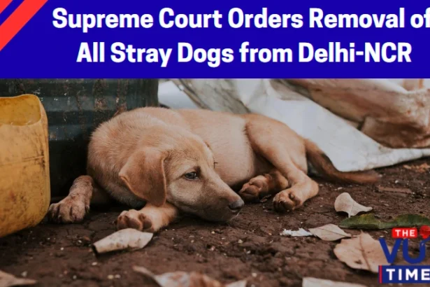 Supreme Court order on stray dogs Delhi NCR