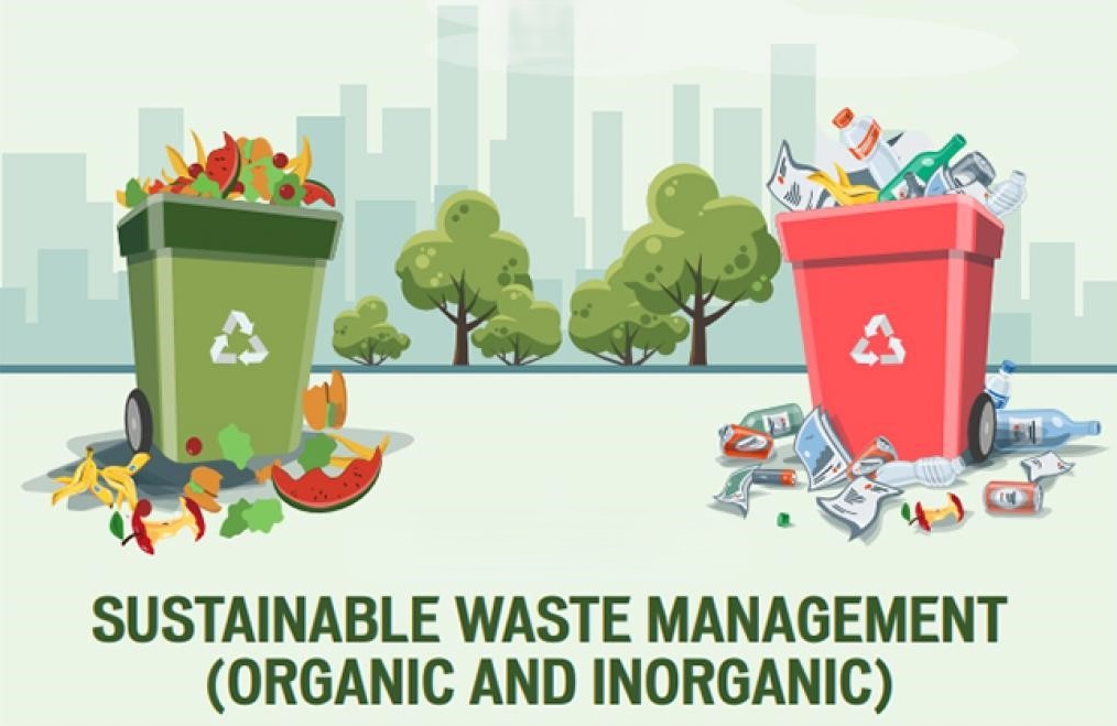 Eco-friendly Living in Indian Homes Affordable Green Tips & Products