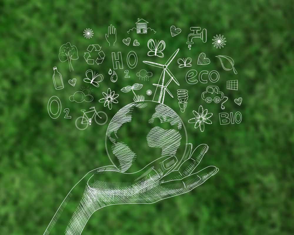 Eco-friendly Living in Indian Homes Affordable Green Tips & Products