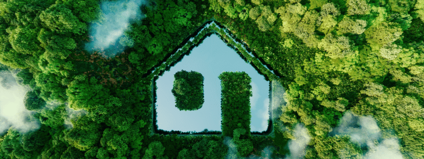 Eco-friendly Living in Indian Homes Affordable Green Tips & Products