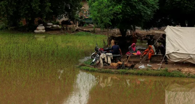 Flooded farmland in Punjab with submerged crops and broken huts, September 2025