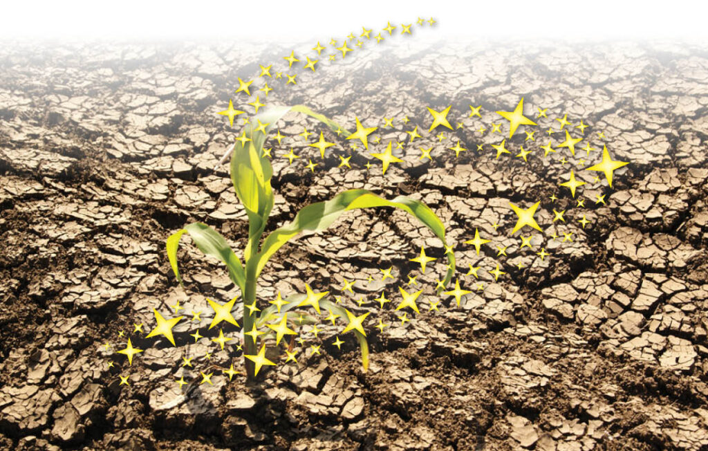 Expected Colder Winter in North India: A Season of Challenge & Change