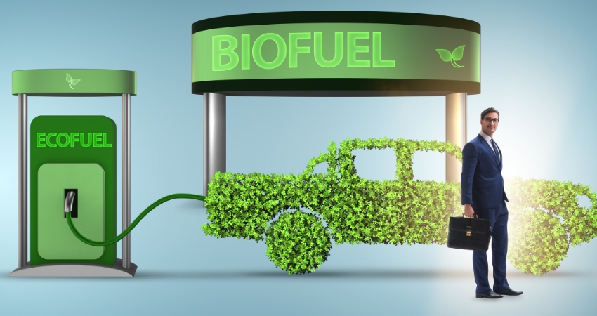 Bio Fuel
