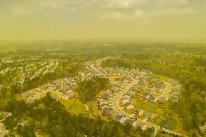 Yellow Pollen Clouds in Manali Go Viral in 2025