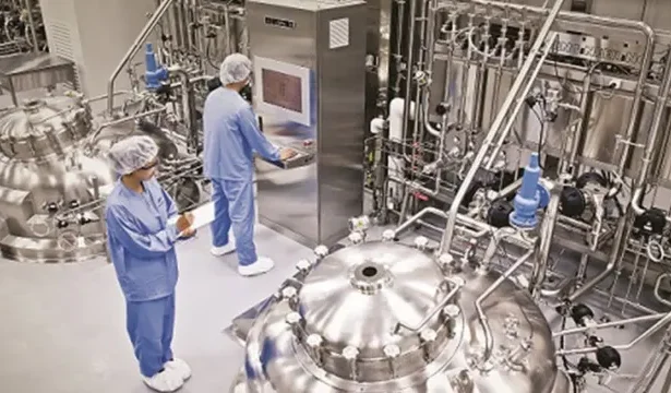 Pharma factory inspection in India