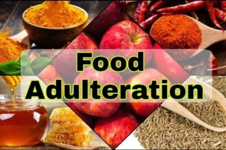 Common food items in India are often found adulterated with harmful substances, posing serious health risks.