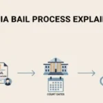 Bail rules in India explained visually