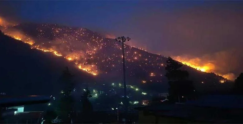 Forest officials creating fire lines to prevent spread of forest fire in India