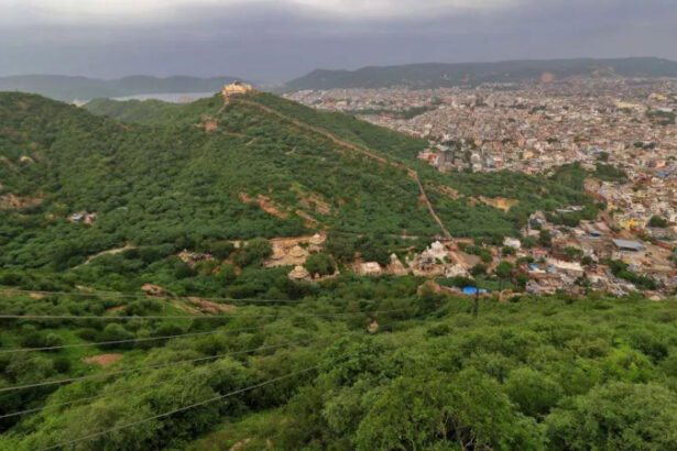 Remaining forest patches in the Aravali Hills acting as natural barriers