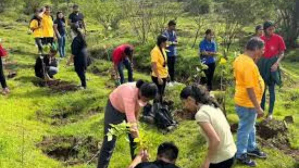 Volunteers planting young trees in central India afforestation effort