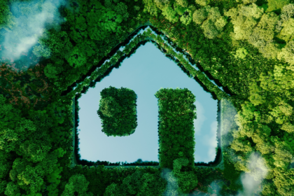 Eco-friendly Living in Indian Homes Affordable Green Tips & Products