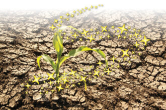 Expected Colder Winter in North India: A Season of Challenge & Change